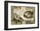 The Creation of Adam (Full)-Michelangelo-Framed Art Print