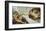 The Creation Of Adam-Michelangelo Buonarroti-Framed Art Print