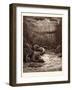 The Creation of Fish and Birds-Gustave Dore-Framed Giclee Print