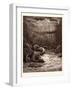 The Creation of Fish and Birds-Gustave Dore-Framed Giclee Print