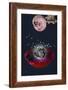The Creation of the Universe-Elo Marc-Framed Giclee Print
