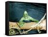 The Creature From The Black Lagoon, 1954-null-Framed Stretched Canvas
