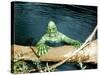 The Creature From The Black Lagoon, 1954-null-Stretched Canvas