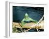 The Creature From The Black Lagoon, 1954-null-Framed Photo