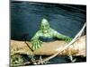 The Creature From The Black Lagoon, 1954-null-Mounted Photo