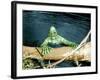 The Creature From The Black Lagoon, 1954-null-Framed Photo