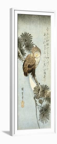 The Crescent Moon and Owl Perched on Pine Branches, Chu-Tanzaku-Kishi Chikudo-Framed Giclee Print