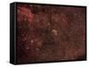 The Crescent Nebula, an Emission Nebula in the Cygnus Constellation-null-Framed Stretched Canvas