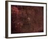 The Crescent Nebula, an Emission Nebula in the Cygnus Constellation-null-Framed Photographic Print