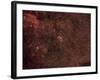 The Crescent Nebula, an Emission Nebula in the Cygnus Constellation-null-Framed Photographic Print