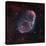 The Crescent Nebula-Stocktrek Images-Stretched Canvas