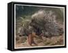 The Crested Porcupine by Alfred Edmund Brehm-Stefano Bianchetti-Framed Stretched Canvas