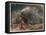 The Crested Porcupine by Alfred Edmund Brehm-Stefano Bianchetti-Framed Stretched Canvas