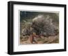 The Crested Porcupine by Alfred Edmund Brehm-Stefano Bianchetti-Framed Giclee Print