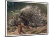 The Crested Porcupine by Alfred Edmund Brehm-Stefano Bianchetti-Mounted Giclee Print
