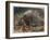 The Crested Porcupine by Alfred Edmund Brehm-Stefano Bianchetti-Framed Giclee Print