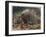 The Crested Porcupine by Alfred Edmund Brehm-Stefano Bianchetti-Framed Giclee Print