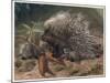 The Crested Porcupine by Alfred Edmund Brehm-Stefano Bianchetti-Mounted Giclee Print