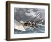 The Crew Maneuver to Straighten a Dangerously Inclined Sailboat during a Yacht Hike Race on the Del-null-Framed Giclee Print