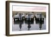 The Crew of Apollo 12 as They Sit on their Chevrolet Corvette Stingrays, September 23, 1969-Ralph Morse-Framed Photographic Print