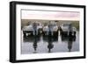 The Crew of Apollo 12 as They Sit on their Chevrolet Corvette Stingrays, September 23, 1969-Ralph Morse-Framed Photographic Print