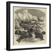 The Crew of the Pandora Shooting Seals-null-Framed Giclee Print