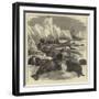 The Crew of the Pandora Shooting Seals-null-Framed Giclee Print
