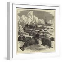 The Crew of the Pandora Shooting Seals-null-Framed Giclee Print