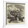 The Crew of the Pandora Shooting Seals-null-Framed Giclee Print