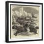 The Crew of the Pandora Shooting Seals-null-Framed Giclee Print