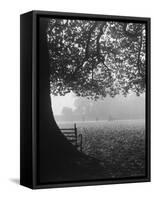 The Cricket Fields in the Back of the Ancient College Building-Cornell Capa-Framed Stretched Canvas