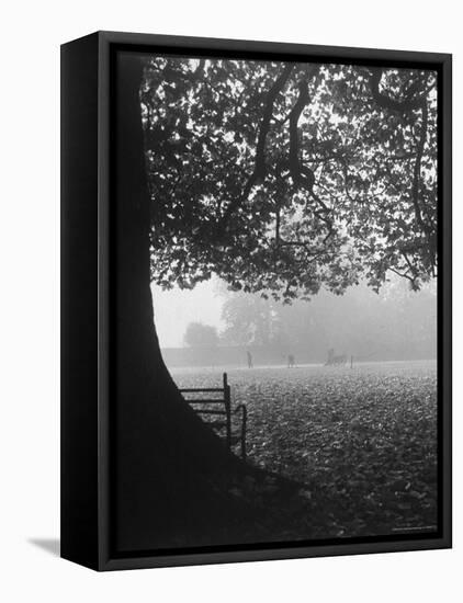 The Cricket Fields in the Back of the Ancient College Building-Cornell Capa-Framed Stretched Canvas