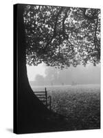 The Cricket Fields in the Back of the Ancient College Building-Cornell Capa-Stretched Canvas