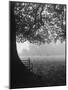 The Cricket Fields in the Back of the Ancient College Building-Cornell Capa-Mounted Premium Photographic Print