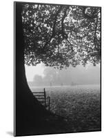 The Cricket Fields in the Back of the Ancient College Building-Cornell Capa-Mounted Photographic Print