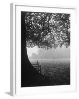 The Cricket Fields in the Back of the Ancient College Building-Cornell Capa-Framed Photographic Print