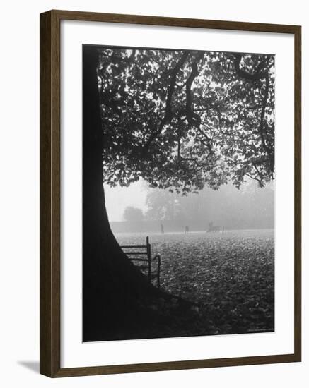 The Cricket Fields in the Back of the Ancient College Building-Cornell Capa-Framed Photographic Print