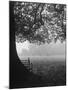 The Cricket Fields in the Back of the Ancient College Building-Cornell Capa-Mounted Photographic Print