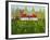 The Cricket Match-Mark Baring-Framed Giclee Print