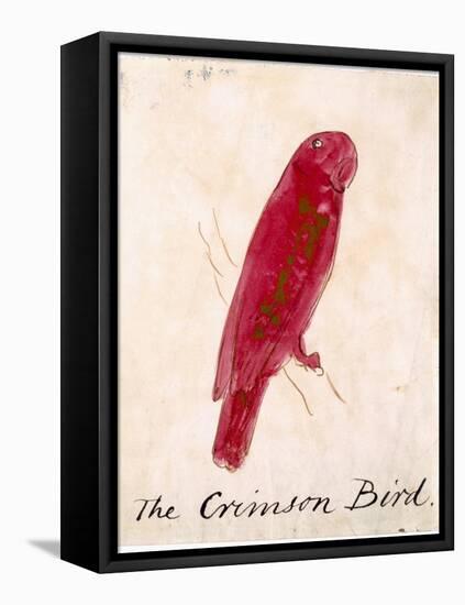 The Crimson Bird, from Sixteen Drawings of Comic Birds-Edward Lear-Framed Stretched Canvas