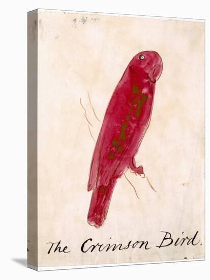 The Crimson Bird, from Sixteen Drawings of Comic Birds-Edward Lear-Stretched Canvas