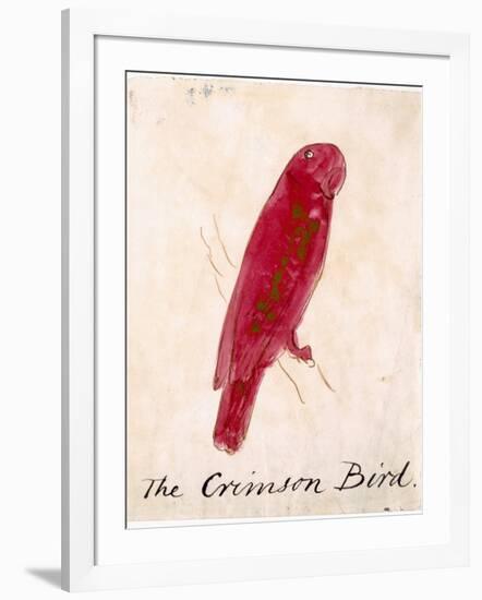 The Crimson Bird, from Sixteen Drawings of Comic Birds-Edward Lear-Framed Giclee Print