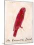 The Crimson Bird, from Sixteen Drawings of Comic Birds-Edward Lear-Mounted Giclee Print