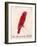 The Crimson Bird, from Sixteen Drawings of Comic Birds-Edward Lear-Framed Giclee Print