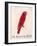 The Crimson Bird, from Sixteen Drawings of Comic Birds-Edward Lear-Framed Giclee Print