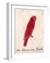 The Crimson Bird, from Sixteen Drawings of Comic Birds-Edward Lear-Framed Giclee Print