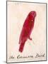 The Crimson Bird, from Sixteen Drawings of Comic Birds-Edward Lear-Mounted Giclee Print