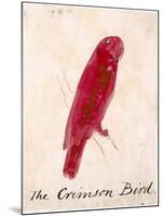 The Crimson Bird, from Sixteen Drawings of Comic Birds-Edward Lear-Mounted Premium Giclee Print