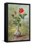 The Crimson Rose, a Messenger of Love-Albert Williams-Framed Stretched Canvas