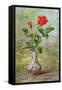 The Crimson Rose, a Messenger of Love-Albert Williams-Framed Stretched Canvas